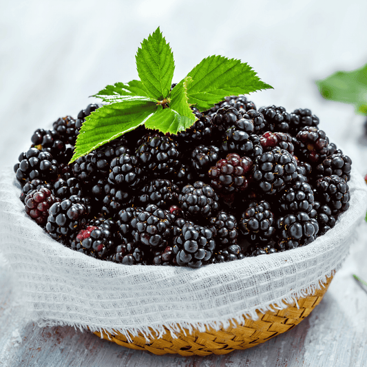 California Blackberry - 30 Seeds