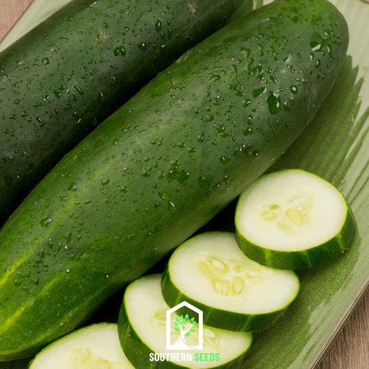 Beit Alpha Cucumber – 30 Seeds